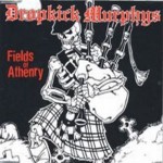 Fields of Athenry Cover